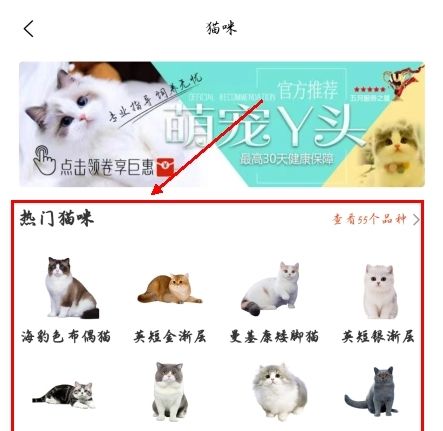 宠物市场app宠物挑选教程