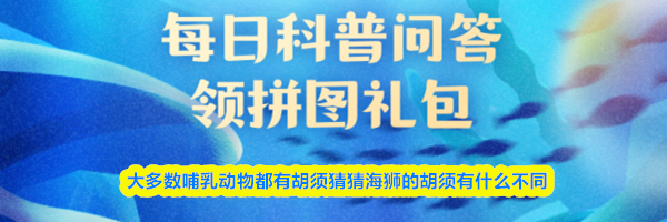 大多数哺乳动物都有胡须猜猜海狮的胡须有什么不同