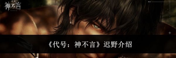 《代号:神不言》迟野介绍
