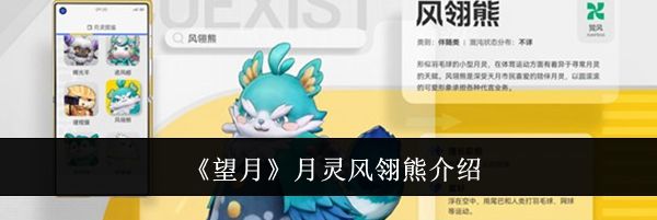 《望月》月灵风翎熊介绍