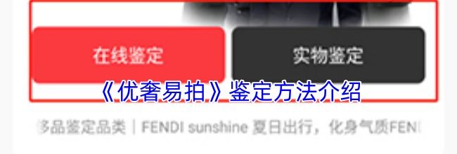 《优奢易拍》鉴定方法介绍