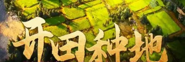 《这城有良田》薛涛阵容流派搭配推荐
