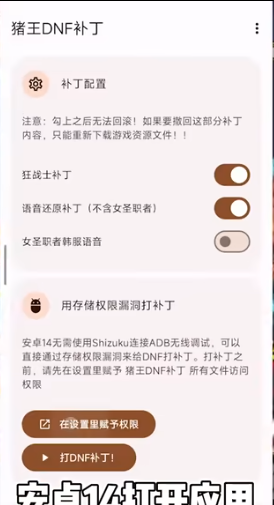 地下城手游猪王全职业语音还原补丁正式版