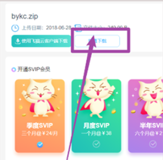飞猫盘会员版