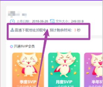 飞猫盘会员版