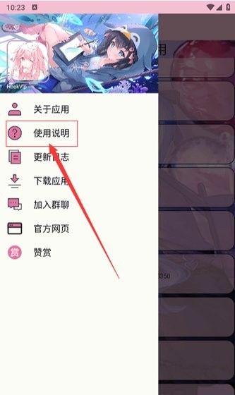 hookvip软件