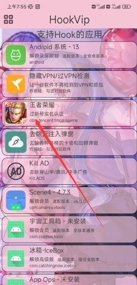 hookvip模块