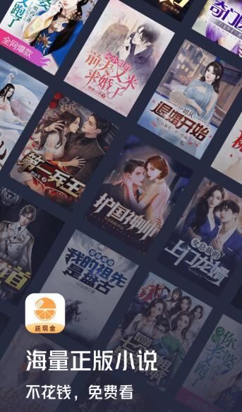 想看的小说这里都有哦