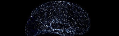 《幻想者》英文免安装版