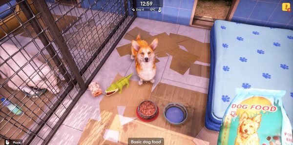 《动物收容所2》官方版