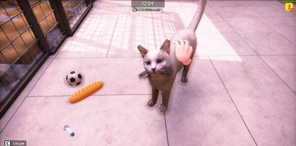 《动物收容所2》官方版