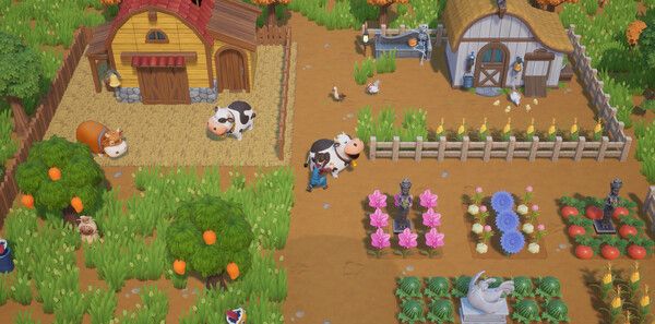 《珊瑚岛》官方版