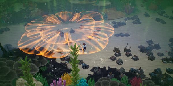 《珊瑚岛》官方版