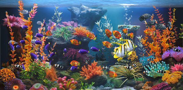 《Zen Aquarium》官方版