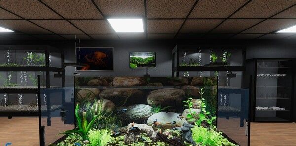 《水族馆》免安装升级版