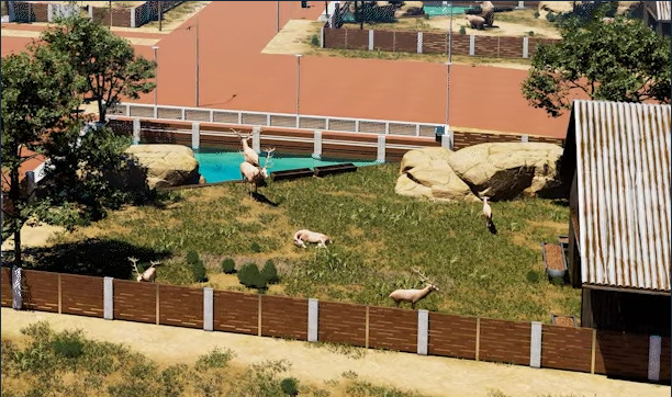 《Zoo Life Simulator》demo