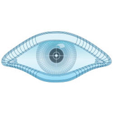 Nmap(使用教程)软件logo图