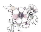 花田小憩logo图