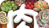 多肉植物logo图