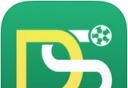 DS足球logo图