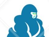 诗颖影视logo图