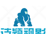 诗颖视影logo图