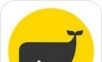 职点迷津logo图