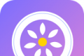 女司机logo图