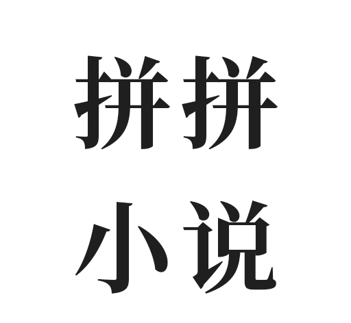 拼拼小说logo图