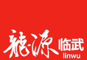 龙源临武logo图