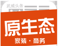 原生态商务logo图