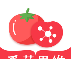番茄思维数学logo图