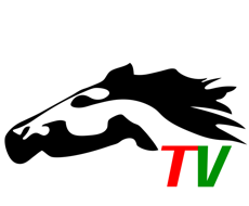 美丽阿巴嘎logo图