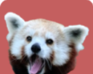 熊猫3ds模拟器logo图
