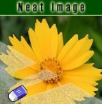 neat image软件logo图