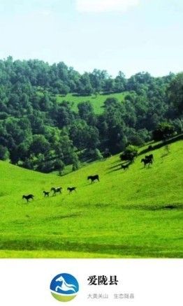 爱陇县
