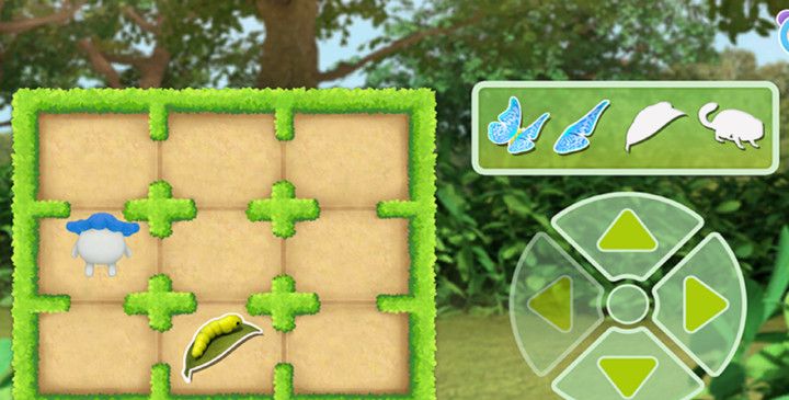 巴塔木自然小天才