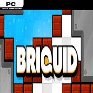 Briquid