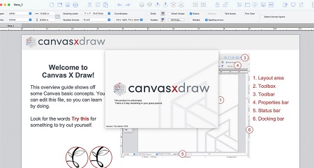 Canvas X Draw