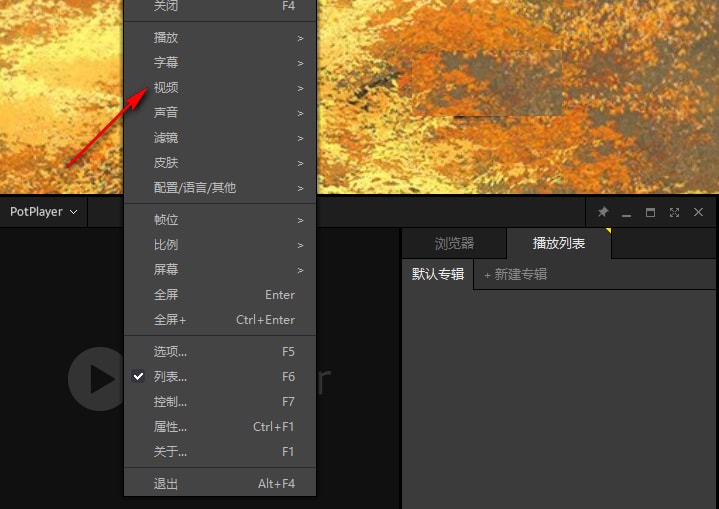 PotPlayer中文版截图