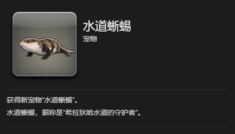 《最终幻想14：水晶世界》水道蜥蜴获得方法