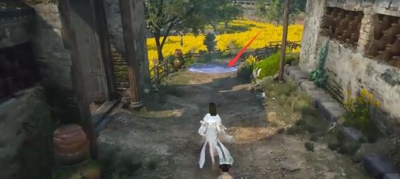 《逆水寒手游》缉鸡记奇遇攻略