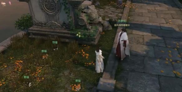 《逆水寒手游》逗猫之乐奇遇攻略