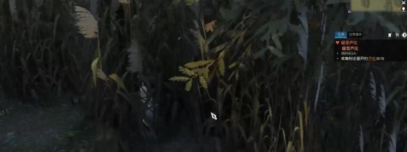 《逆水寒手游》暖雪芦花奇遇攻略