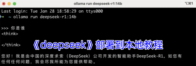 《deepseek》部署到本地教程