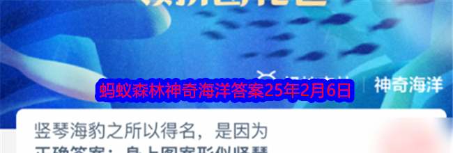 竖琴海豹之所以得名，是因为