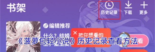 《菠萝包轻小说》历史记录查看方法