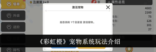 《彩虹橙》宠物系统玩法介绍