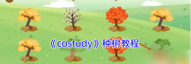 《costudy》种树教程