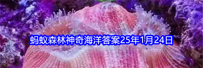 猜一猜八字脑珊瑚之所以得名，是因为
